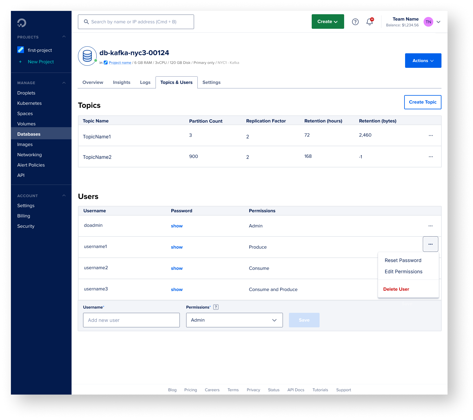Post-creation view showing both Topics and Users tables
